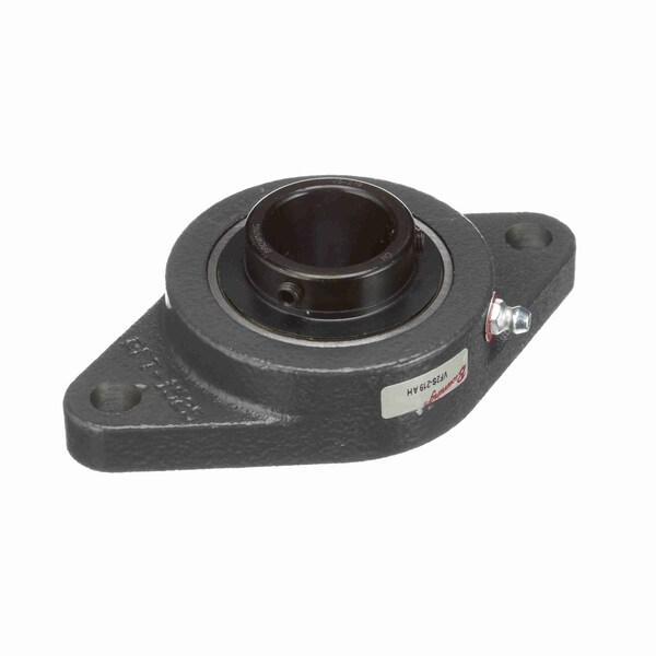 Mounted Cast Iron Two Bolt Flange Ball Bearing, VF2S-219 AH